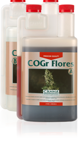Cogr flores b