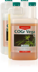 Cogr vega a